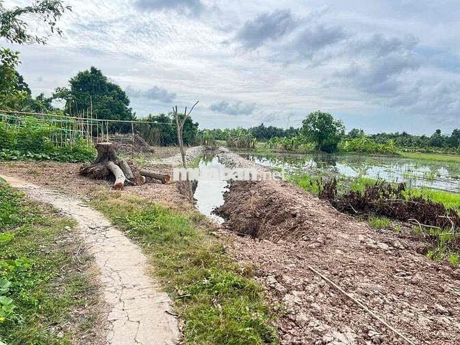 ❌ KÈO THƠM ❌ GIÁ : 580 TRIỆU TL ❌ - BÁN NỀN 5 X 37 =185M CLN  - LỘ 4M