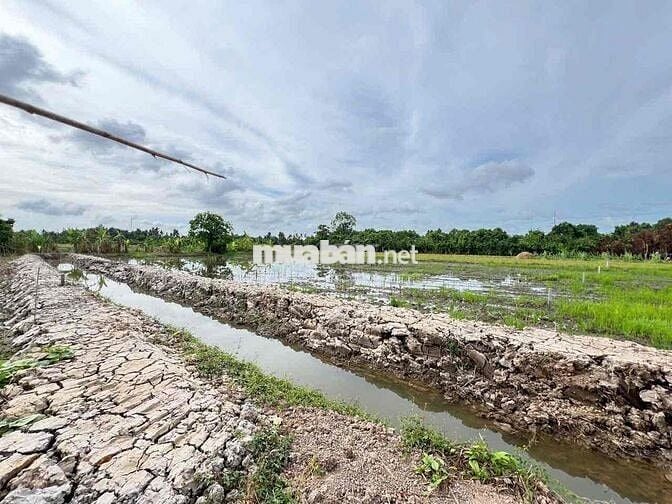 ❌ KÈO THƠM ❌ GIÁ : 580 TRIỆU TL ❌ - BÁN NỀN 5 X 37 =185M CLN  - LỘ 4M