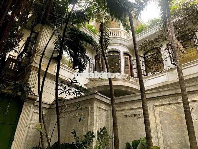 15x16m Biệt Thự Sân Vườn Đường Hoàng Sa - Quận 1