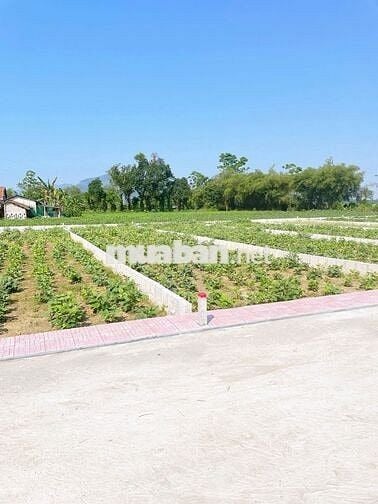 🏡 AN CƯ DỄ DÀNG – ĐẤT SỔ RIÊNG TỪ 4XX TRIỆU/NỀN 🏡