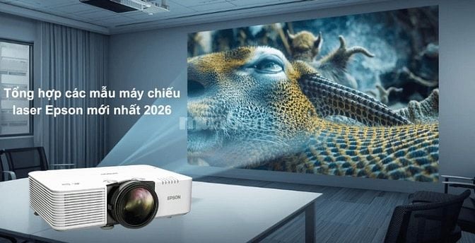 cho thuê máy Photocopy, Máy in, Máy vi tính, Máy Chiếu