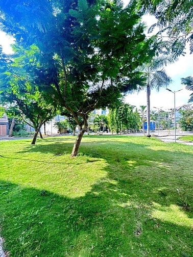 CC D2 Phú Lợi P7 Q8- 2PN 70m2 SHR , Bank hỗ trợ 1,4 tỷ 🌹HHMG 25TR 🌹