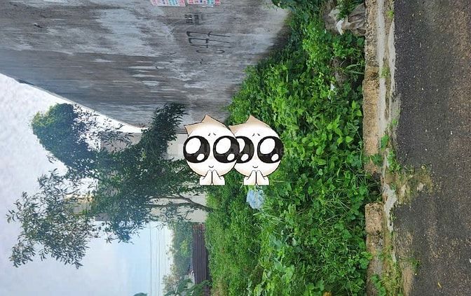 BÁN ĐẤT GẦN SÂN BAY LONG THÀNH DT 100 M2 THỔ CƯ ĐÃ CÓ SỔ GIÁ 900 TRIỆU