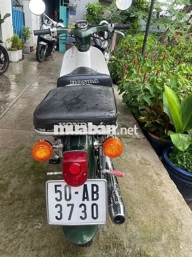 Honda Cub 81 Xanh rêu trắng