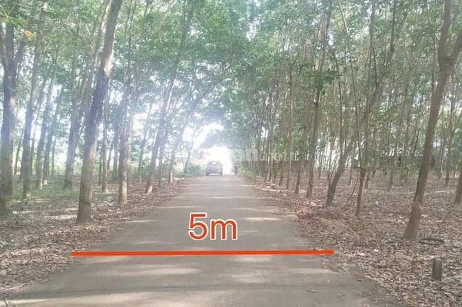 Công ty Đấu giá hợp danh Lam Sơn Sài Gòn THÔNG BÁO ĐẤU GIÁ TÀI SẢN