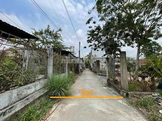 Công ty Đấu giá hợp danh Lam Sơn Sài Gòn THÔNG BÁO ĐẤU GIÁ TÀI SẢN