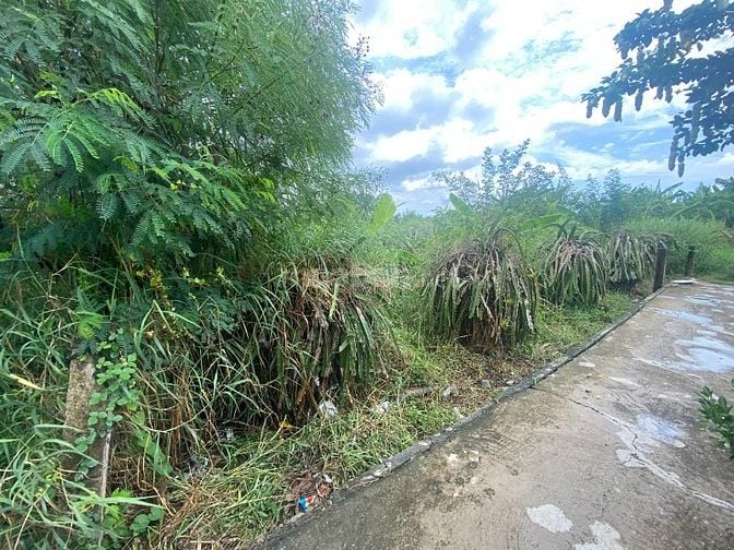 Thông báo đấu giá tài sản bảo đảm của khách hàng Nguyễn Thị Thu Sinh