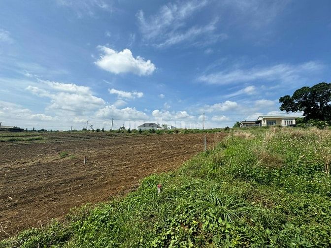 Công ty Đấu giá hợp danh Lam Sơn Sài Gòn THÔNG BÁO ĐẤU GIÁ TÀI SẢN