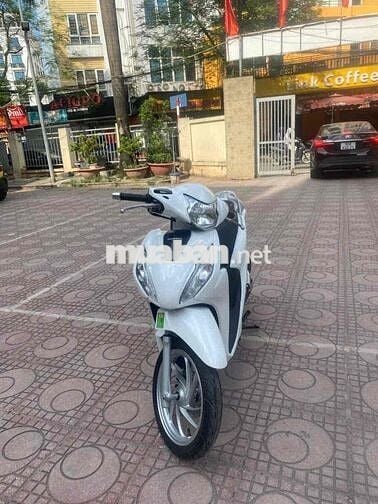 Honda Vision Trắng