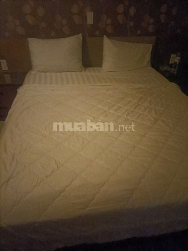 Massage body khu vực SG cho nam,nư