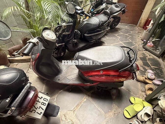 SYM Elite 50cc không cần bằng lái