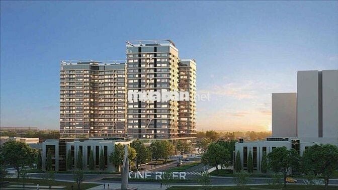 Căn hộ hạng sang Regal Complex  1 ngủ / 2 ngủ / 3 ngủ