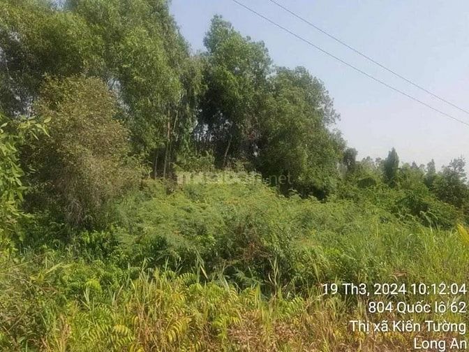 Công ty Đấu giá hợp danh Lam Sơn Sài Gòn THÔNG BÁO ĐẤU GIÁ TÀI SẢN