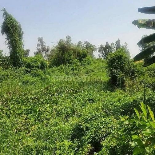 Công ty Đấu giá hợp danh Lam Sơn Sài Gòn THÔNG BÁO ĐẤU GIÁ TÀI SẢN