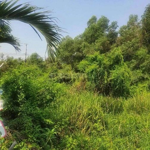 Công ty Đấu giá hợp danh Lam Sơn Sài Gòn THÔNG BÁO ĐẤU GIÁ TÀI SẢN