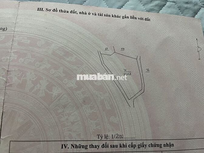 BÁN ĐẤT VƯỜN 2 MẶT TIỀN – GIA HIỆP, DI LINH, LÂM ĐỒNG