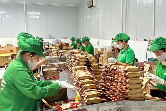 Cần Tuyển 1 Nữ Tạp Vụ Văn Phòng Và 2  Nữ  Đóng Gói, Kiểm Hàng 