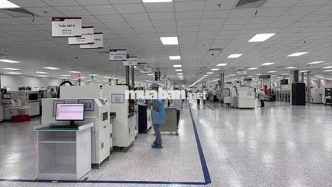 Tuyển Nam/Nữ Làm Linh Kiện Điện Tử KCN Đồng Văn 3