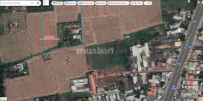 CẦN TIỀN BÁN GẤP 2.000m đất nông nghiệp