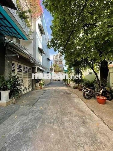 cho thuê nguyên căn lê văn thọ kế bên cv làng hoa