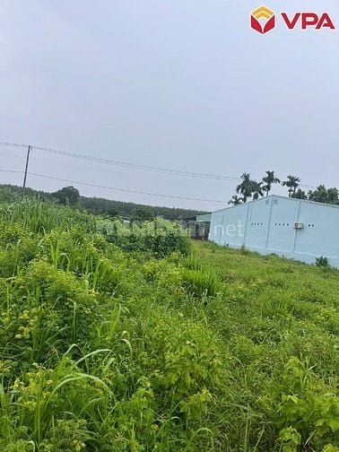 Thông báo đấu giá tài sản của bà Trần Thị Kiều My (Tây Ninh)