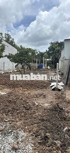 🚨 CHỦ NGỘP GIẢM 300 TRIỆU – ĐẤT MẶT TIỀN BẾN ĐÌNH 7x40M, CHỈ 2 TỶ 550