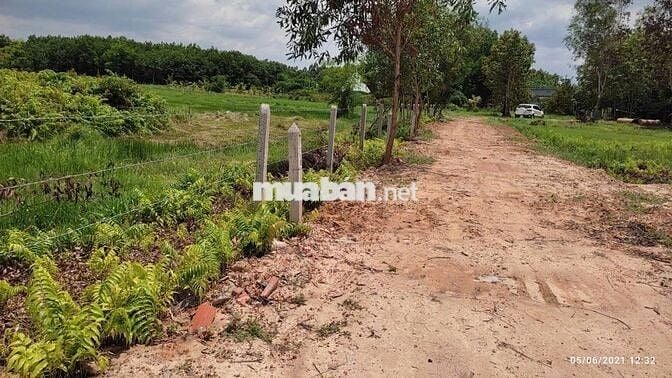 Bán đất An Điền Bến Cát DT748 có thổ cư nhà trên đất