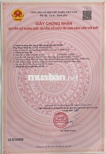 Chủ kẹt ngân hàng cần bán gấp đất 318m2 giá 1ty1 Tân Thông Hội Củ Chi!