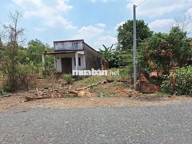 Chủ gửi bán gấp về quê xây biệt thư hợp cho anh chị đầu tư đất 163,7m2