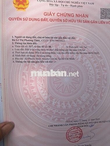Chủ gửi bán gấp về quê xây biệt thư hợp cho anh chị đầu tư đất 163,7m2
