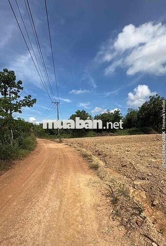 bán đất 1653m2, 2 mặt tiền, cách ql20 1km, đường 24m