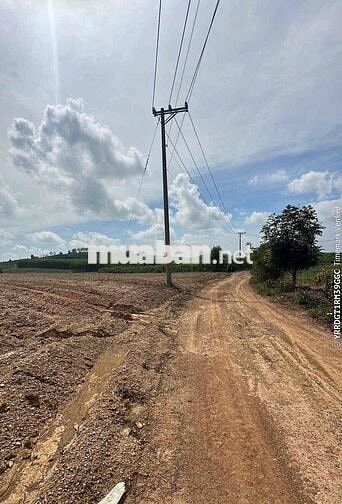 bán đất 1653m2, 2 mặt tiền, cách ql20 1km, đường 24m