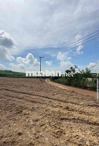 bán đất 1653m2, 2 mặt tiền, cách ql20 1km, đường 24m