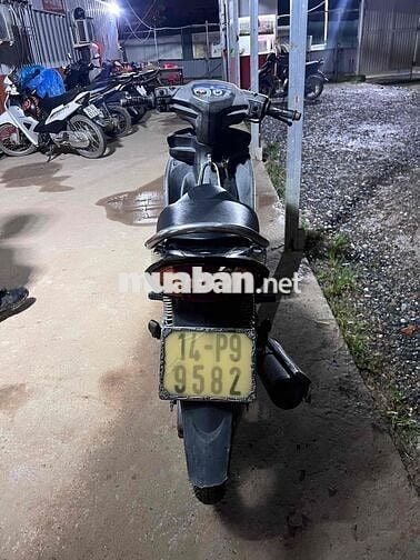 Yamaha Taurus Vàng cát
