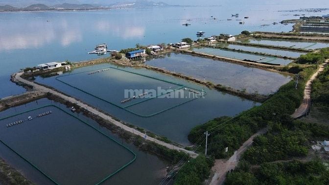 BÁN ĐẤT TMDV GIÁ TỐT NHẤT DU LỊCH MẶT VỊNH HÒN KHÓI