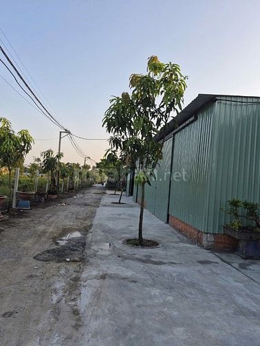 CHÍNH CHỦ CHO THUÊ KHO/XƯỞNG HÓC MÔN – 300M² – XE TẢI VÀO TẬN NƠI