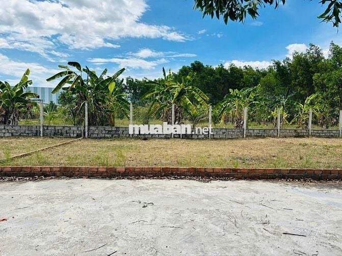3 LÔ LIỀN KỀ HOÀ PHÚ - CÁCH ĐƯỜNG VÀNH ĐAI NKKN CHỈ 500M