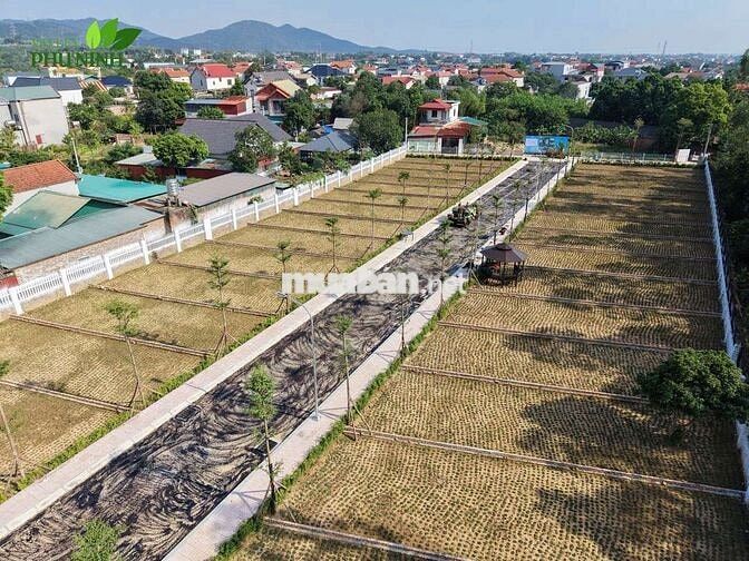 Bán đất phân lô tại Sóc Sơn giá nhỉnh 1 tỷ 