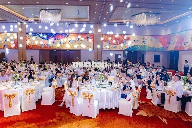[KO CẦN KN, ĐI LÀM NGAY] 5 NV TUYỂN DỤNG 8-10TR/TH