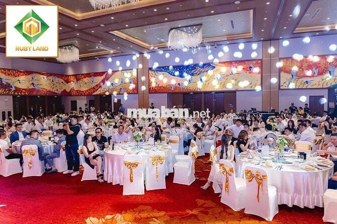 [KO CẦN KN, ĐI LÀM NGAY] 5 NV TUYỂN DỤNG 8-10TR/TH