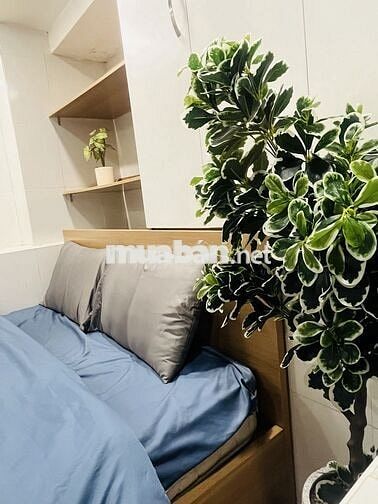 Phòng full nội thất Trần Hưng Đạo, quận 1