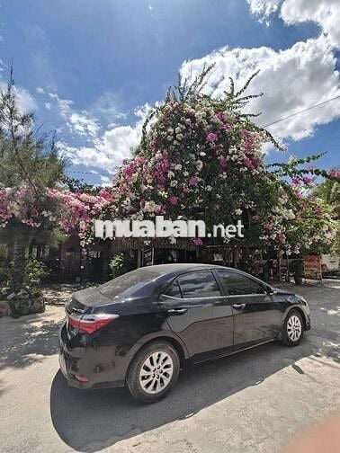 Toyota Corolla Altis 2018 1.8 AT Đen