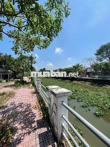 Đất thổ cư 9,9x30m (297m), MT bờ kè Trần Văn Nam, P.3, TP. Tân An