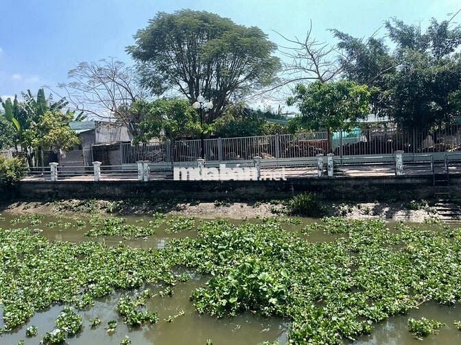 Đất thổ cư 9,9x30m (297m), MT bờ kè Trần Văn Nam, P.3, TP. Tân An