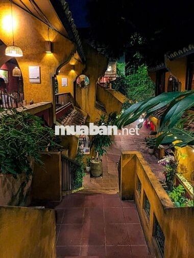 Tin đăng mới hot - Sân vườn Phú Nhuận 350m2 chỉ vài chục triệu !!!!