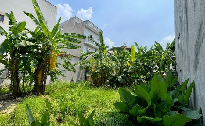 Đất ở đô thị Đan Phượng 252m2 mặt tiền 12.5m