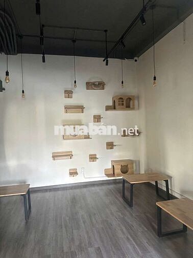 Tuyển thời vụ, lao động phổ thông, phụ mộc