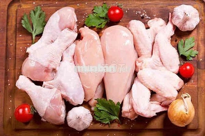 Tuyển người làm gà buổi sáng sớm