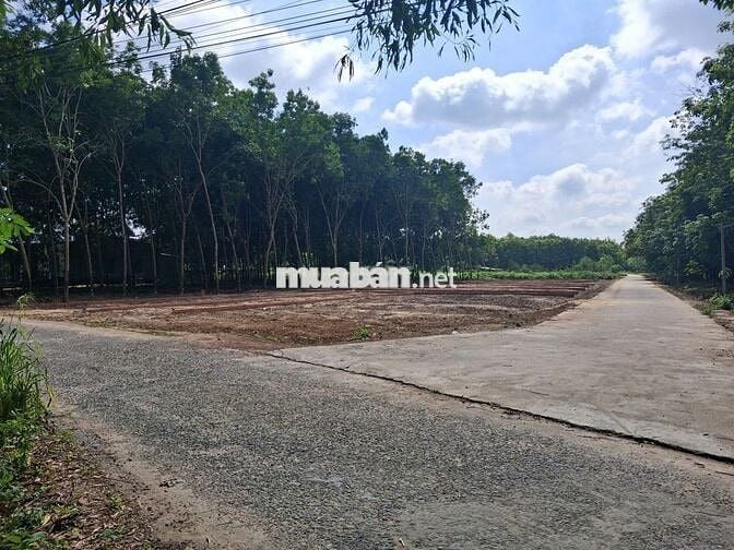 CHÍNH CHỦ CẦN BÁN GẤP LÔ GÓC TẠI MINH HƯNG