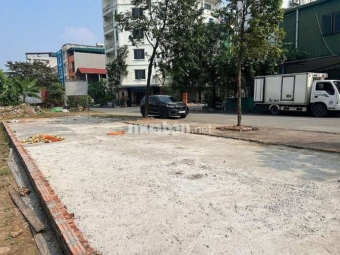 Bán lô góc mặt tiền ngã tư phân lô khu Tân Việt Tiến, xã Đại Đồng